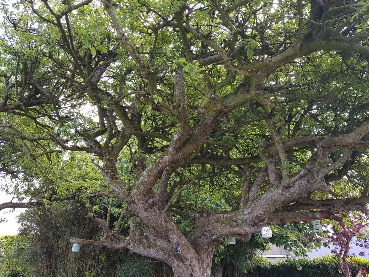 La Cle De Taule Villa Dış mekan fotoğraf